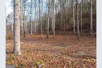 894 Hap Holt Road, Ellijay, GA 30540 - Photo 24