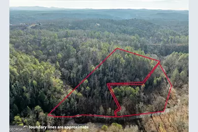 894 Hap Holt Road, Ellijay, GA 30540 - Photo 2