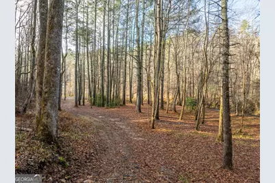 894 Hap Holt Road, Ellijay, GA 30540 - Photo 8