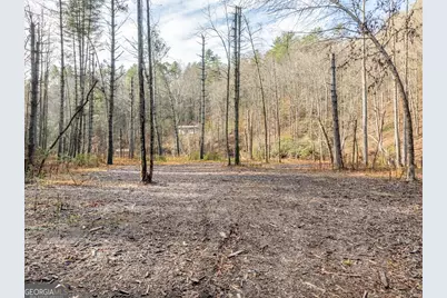 894 Hap Holt Road, Ellijay, GA 30540 - Photo 12