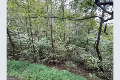 0 Chancel Circle, Ellijay, GA 30540 - Photo 2