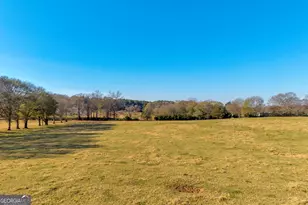 1191 Plain View Rd, Carnesville, GA 30521 - Photo 14