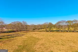 1191 Plain View Rd, Carnesville, GA 30521 - Photo 4