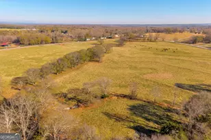 1191 Plain View Rd, Carnesville, GA 30521 - Photo 6