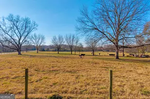 1191 Plain View Rd, Carnesville, GA 30521 - Photo 32