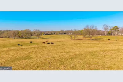 1191 Plain View Road, Carnesville, GA 30521 - Photo 18