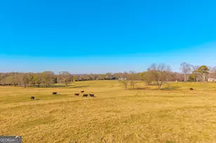 1191 Plain View Rd, Carnesville, GA 30521 - Photo 18