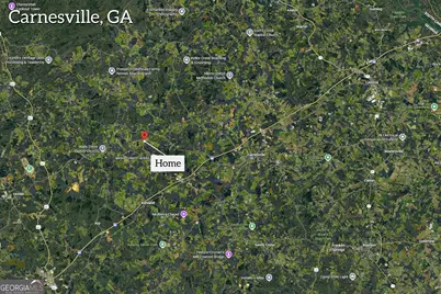 1191 Plain View Road, Carnesville, GA 30521 - Photo 62