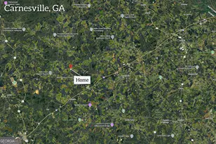 1191 Plain View Rd, Carnesville, GA 30521 - Photo 62