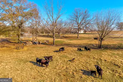 1191 Plain View Road, Carnesville, GA 30521 - Photo 40