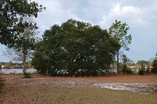 1654 (Lots 43 ) Spring Lake Dr, Folkston, GA 31537 - Photo 8