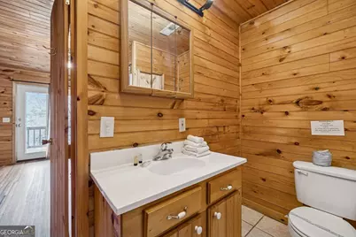 101 Moonshine Mountain Road, Mineral Bluff, GA 30559 - Photo 6
