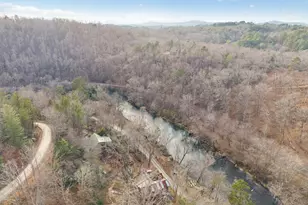 101 Moonshine Mountain Rd, Mineral Bluff, GA 30559 - Photo 46