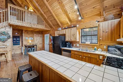 101 Moonshine Mountain Road, Mineral Bluff, GA 30559 - Photo 22