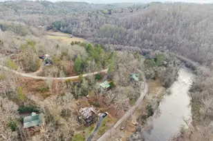 101 Moonshine Mountain Rd, Mineral Bluff, GA 30559 - Photo 4