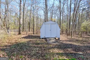 63 Alabama Rd, The Rock, GA 30285 - Photo 66