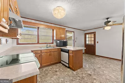 4541 Cavender Creek Road, Dahlonega, GA 30533 - Photo 20