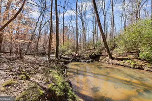 4541 Cavender Creek Rd, Dahlonega, GA 30533 - Photo 56