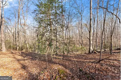 4541 Cavender Creek Road, Dahlonega, GA 30533 - Photo 40