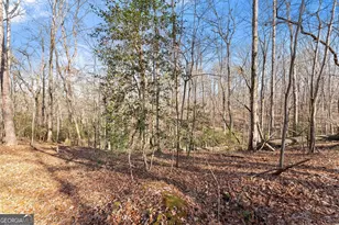 4541 Cavender Creek Rd, Dahlonega, GA 30533 - Photo 40