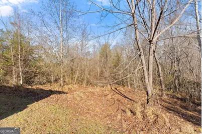 4541 Cavender Creek Road, Dahlonega, GA 30533 - Photo 38