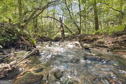 4541 Cavender Creek Road, Dahlonega, GA 30533 - Photo 54