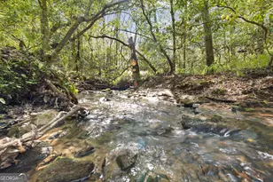 4541 Cavender Creek Rd, Dahlonega, GA 30533 - Photo 54