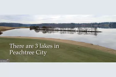 940 Laurel Brooke Avenue, Peachtree City, GA 30269 - Photo 58