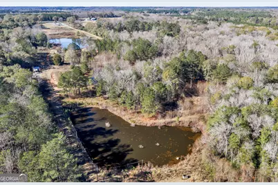 100 Odum Road, Americus, GA 31709 - Photo 22
