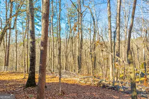 215 Stonehedge Dr, Clarkesville, GA 30523 - Photo 108