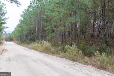 0 Victory Circle, Lyons, GA 30436 - Photo 16
