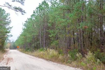 0 Victory Circle, Lyons, GA 30436 - Photo 14