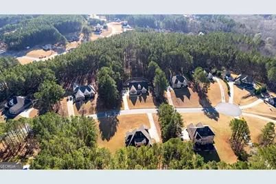 44 Fendley Trace, Newnan, GA 30263 - Photo 6