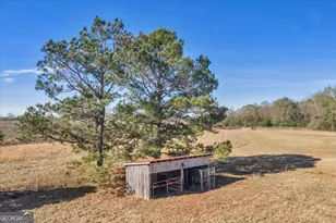 406 Horseshoe Bend Rd, Montezuma, GA 31063 - Photo 56