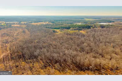 7660 Sandy Cross Road, Carnesville, GA 30521 - Photo 12