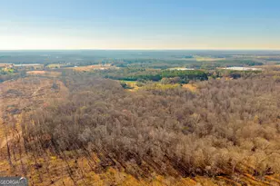 7660 Sandy Cross Rd, Carnesville, GA 30521 - Photo 12