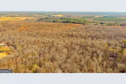 7660 Sandy Cross Road, Carnesville, GA 30521 - Photo 30