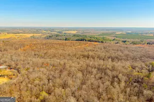 7660 Sandy Cross Rd, Carnesville, GA 30521 - Photo 30