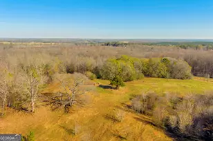 7660 Sandy Cross Rd, Carnesville, GA 30521 - Photo 38