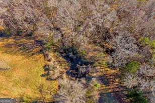 7660 Sandy Cross Rd, Carnesville, GA 30521 - Photo 44