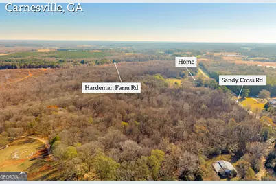 7660 Sandy Cross Road, Carnesville, GA 30521 - Photo 16