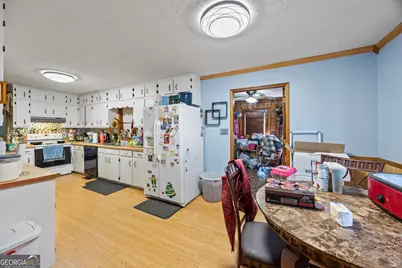 183 Golden Valley Drive, Demorest, GA 30535 - Photo 20