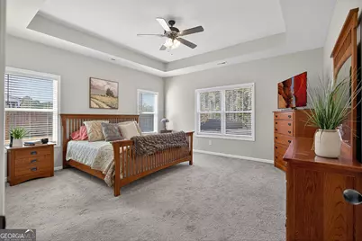 350 Cushing Street, Senoia, GA 30276 - Photo 20