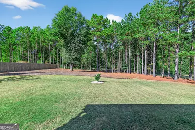 350 Cushing Street, Senoia, GA 30276 - Photo 46