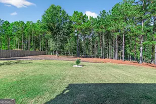 350 Cushing St, Senoia, GA 30276 - Photo 46