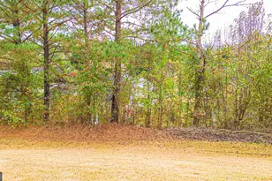 817 Lorraine Ln, Stockbridge, GA 30281 - Photo 64