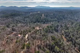 714 Deer Woods Trail, Cleveland, GA 30528 - Photo 50