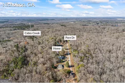 311 Pace Drive, Nicholson, GA 30565 - Photo 42