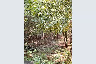 51 Ac Rex Road, Stockbridge, GA 30281 - Photo 20