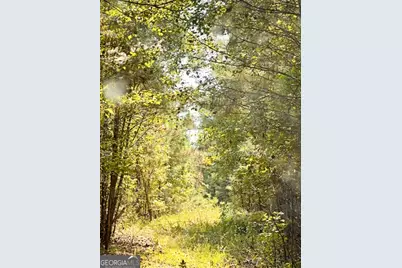 51 Ac Rex Road, Stockbridge, GA 30281 - Photo 10